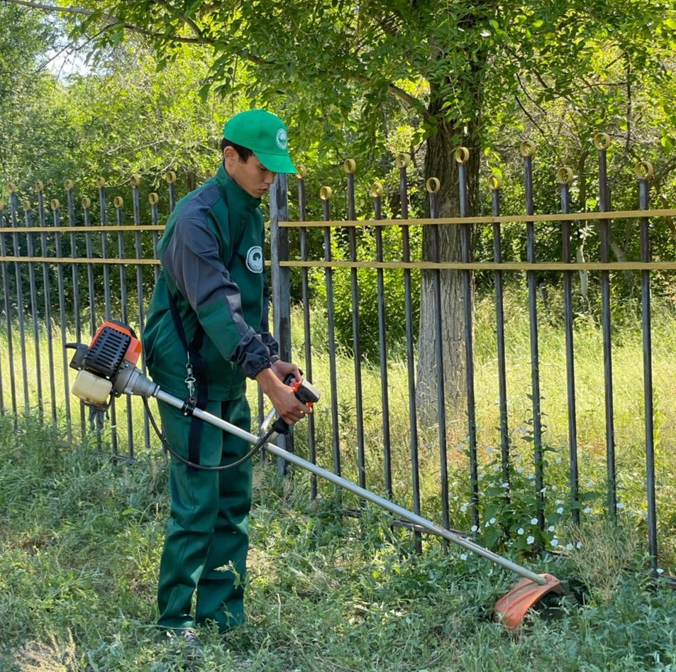 Волонтеры Уральска посадили фруктовый сад и планируют его расширять