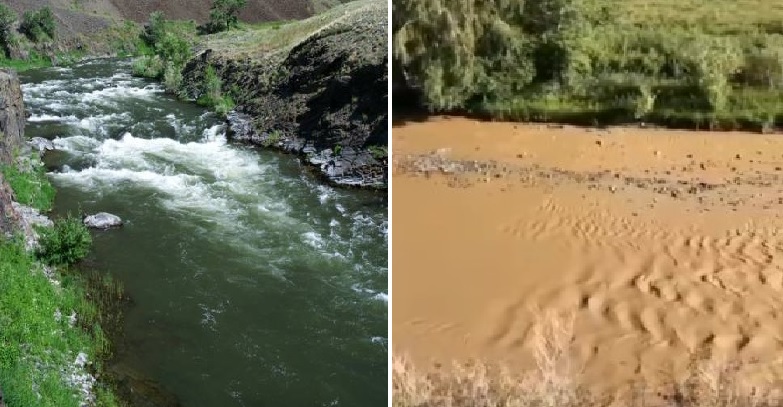 "В такой воде не выживет ни одна рыба": Жители ВКО бьют тревогу