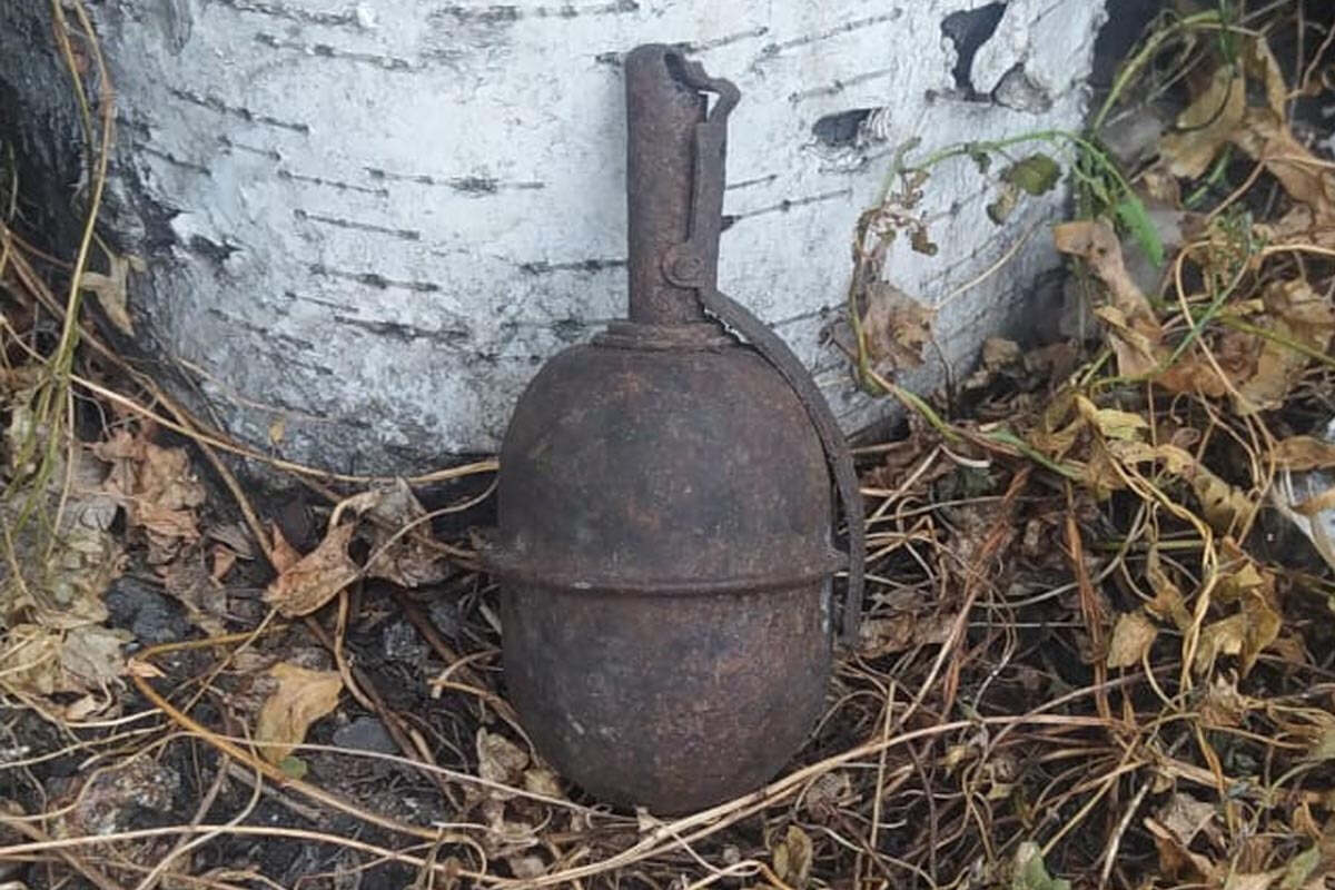 17-летний подросток нашел гранату на пустыре в СКО