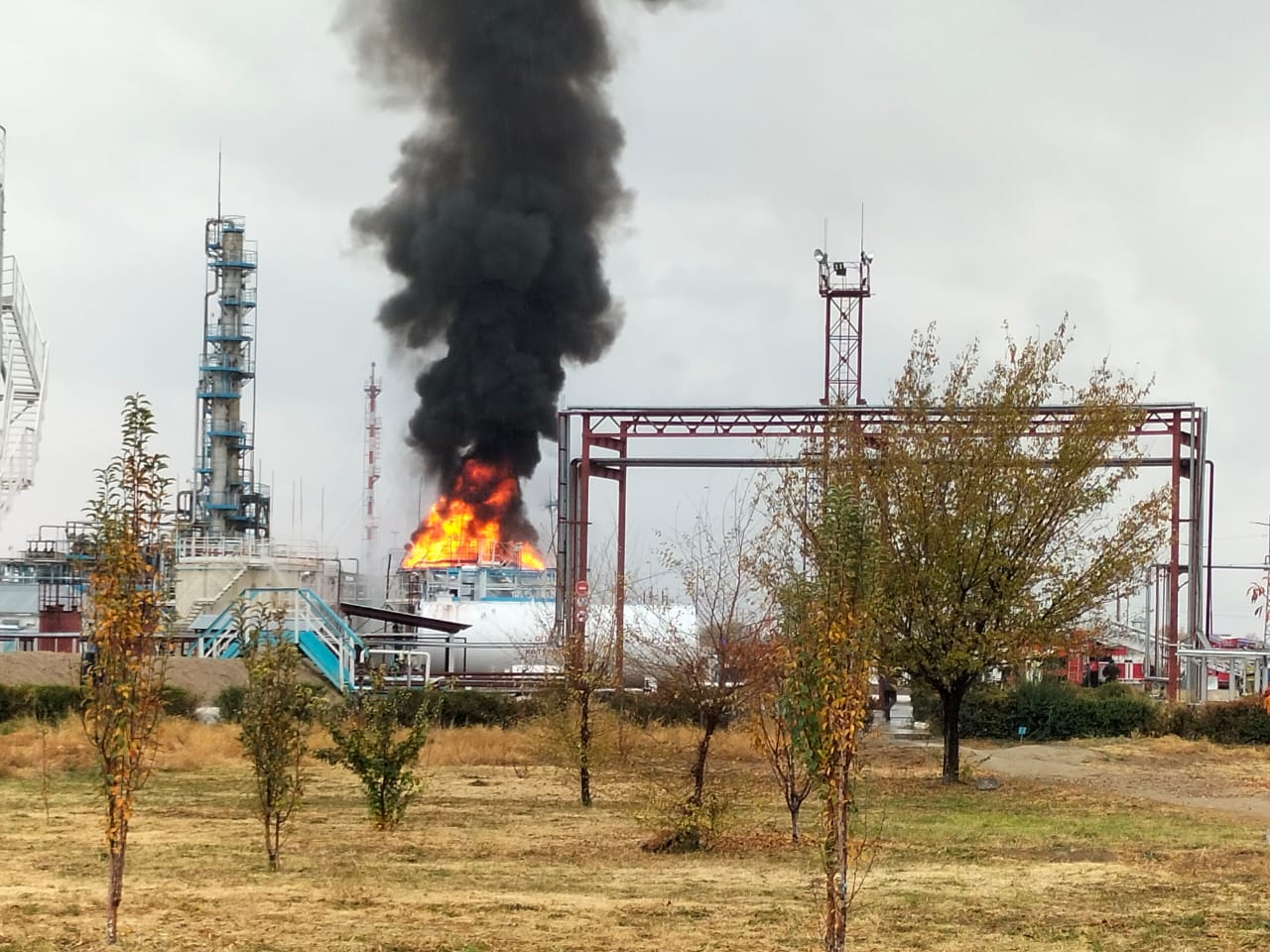 Жамбыл облысында ТЖД-нің 75 қызметкері аяғынан тік тұрды (ФОТО, ВИДЕО)