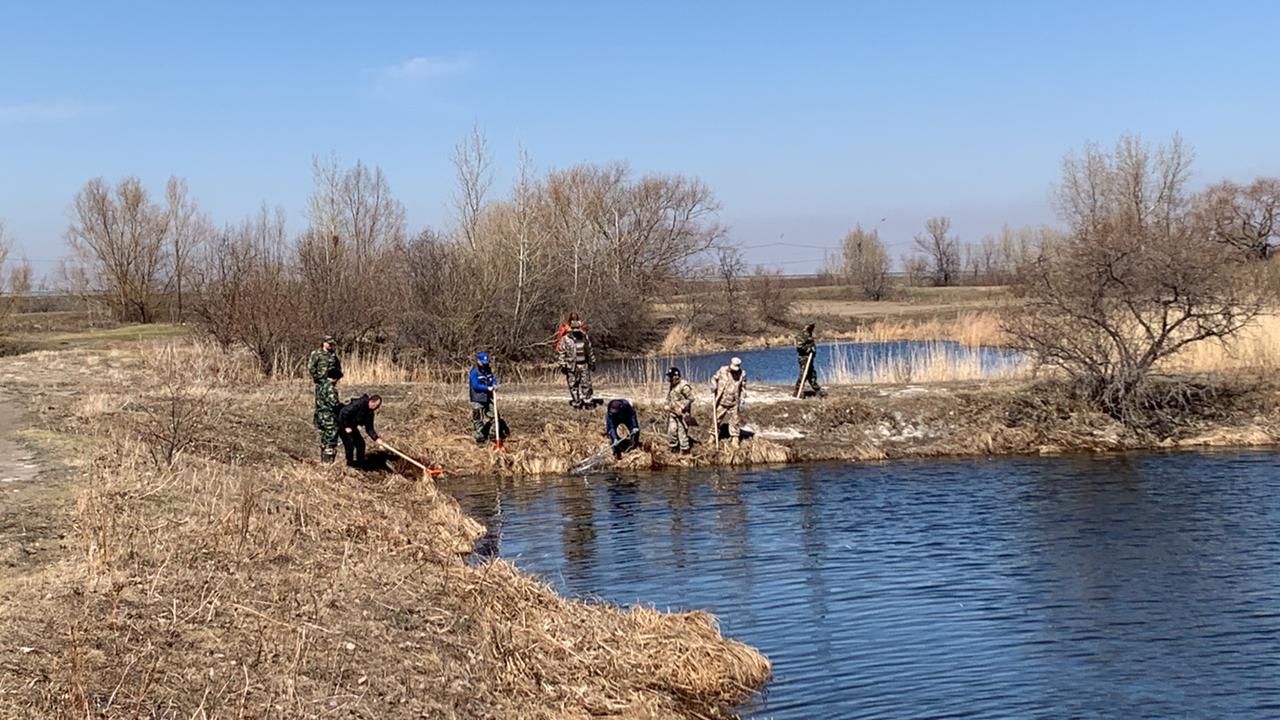 Около 300 кг мертвой рыбы сожгли экологи Павлодара