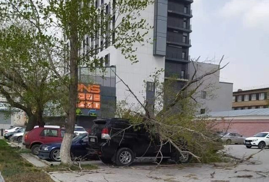 Петропавлда қатты дауылдан көлік үстіне ағаш құлап, ғимараттың шатыры жұлынды