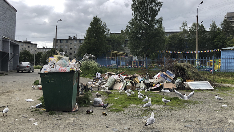 Тело новорожденного нашли в мусорных отходах в Талдыкоргане