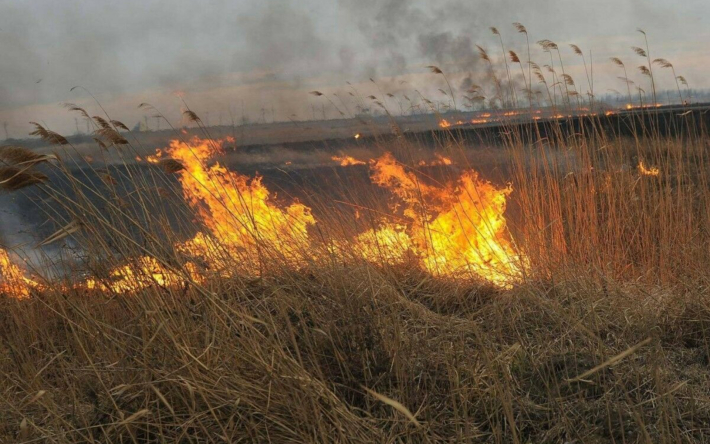 Пожар в окрестностях Актобе тушили более 6 часов