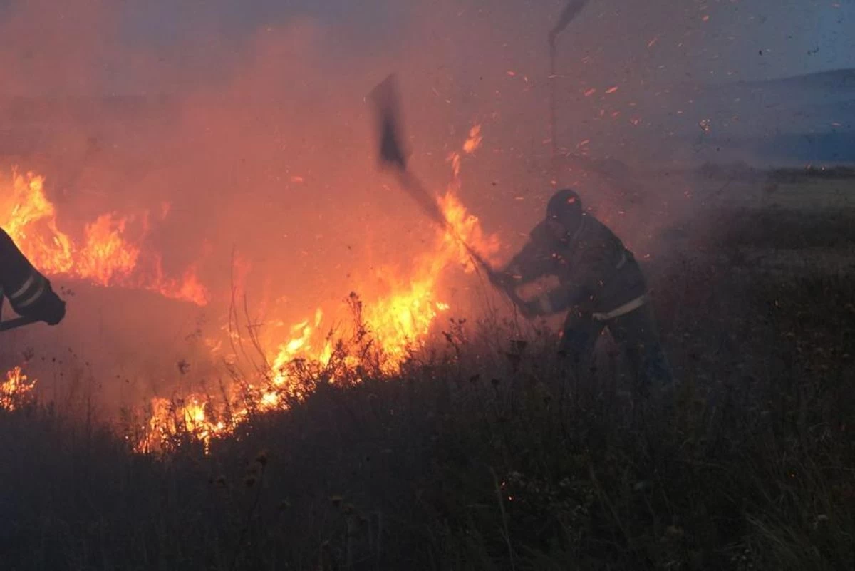 Абай облысында тағы да далалық жер өртенуде