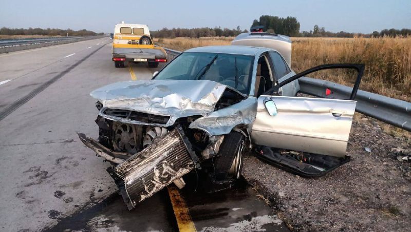 21-летний водитель погиб из-за осла на трассе