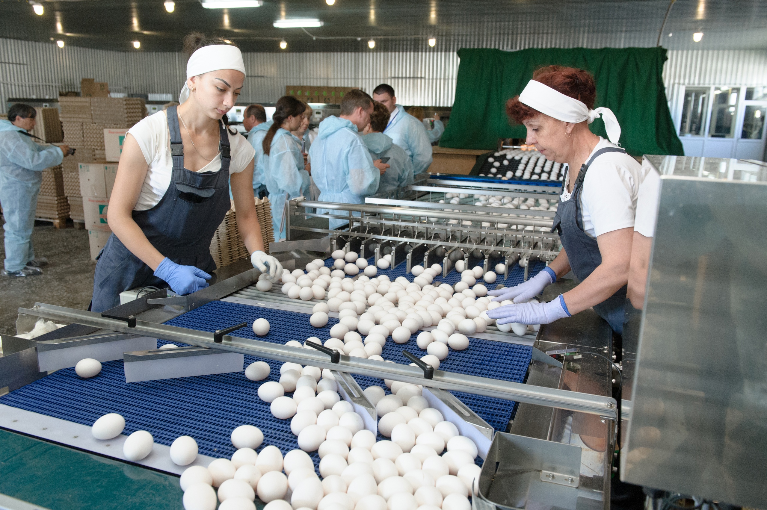 Слишком дорого: В Костанае начали продавать яйца поштучно