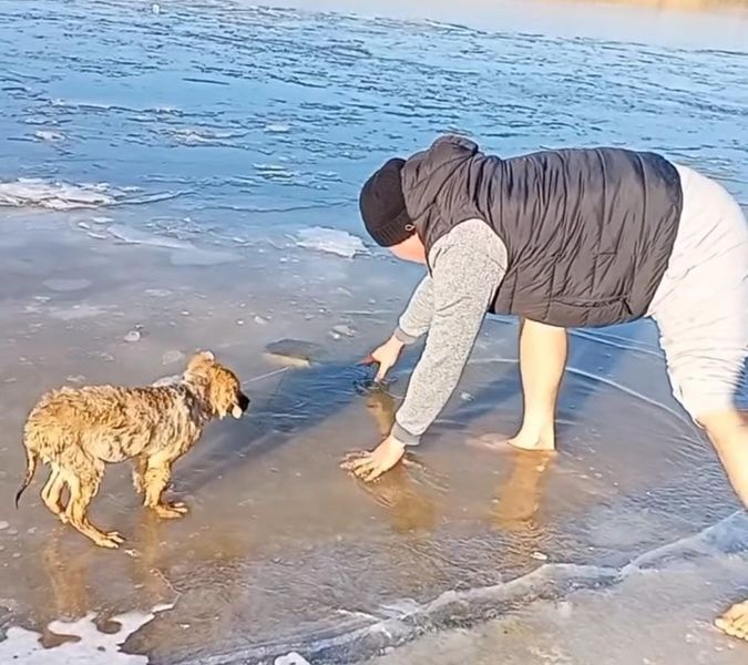 В Атырау дети пытались утопить щенка в реке