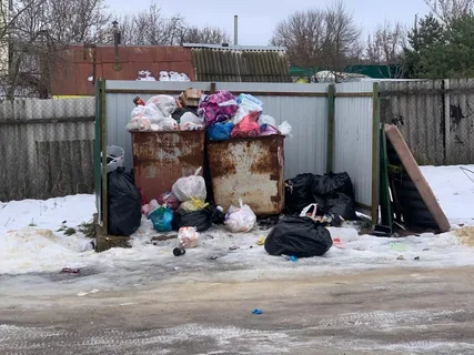 Таразда қоқыс жәшігінен шақалақтың мәйіті табылды