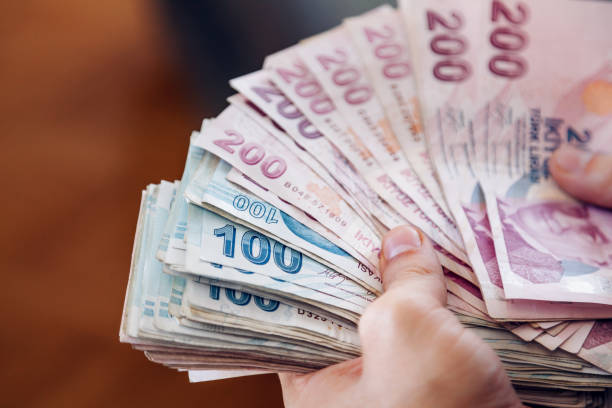 Турецкая лира рухнула до нового исторического минимума