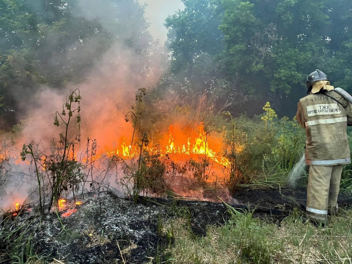 Абай облысында орман өрті өршіп барады