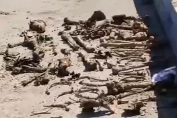 В Петропавловске нашли человеческие останки при реконструкции стадиона