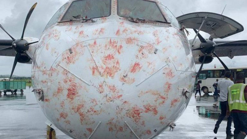 Самолет Qazaq Air столкнулся с птицами при посадке в аэропорту Атырау