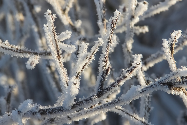 Снег и морозы до 33 градусов: погода в Казахстане на сегодня