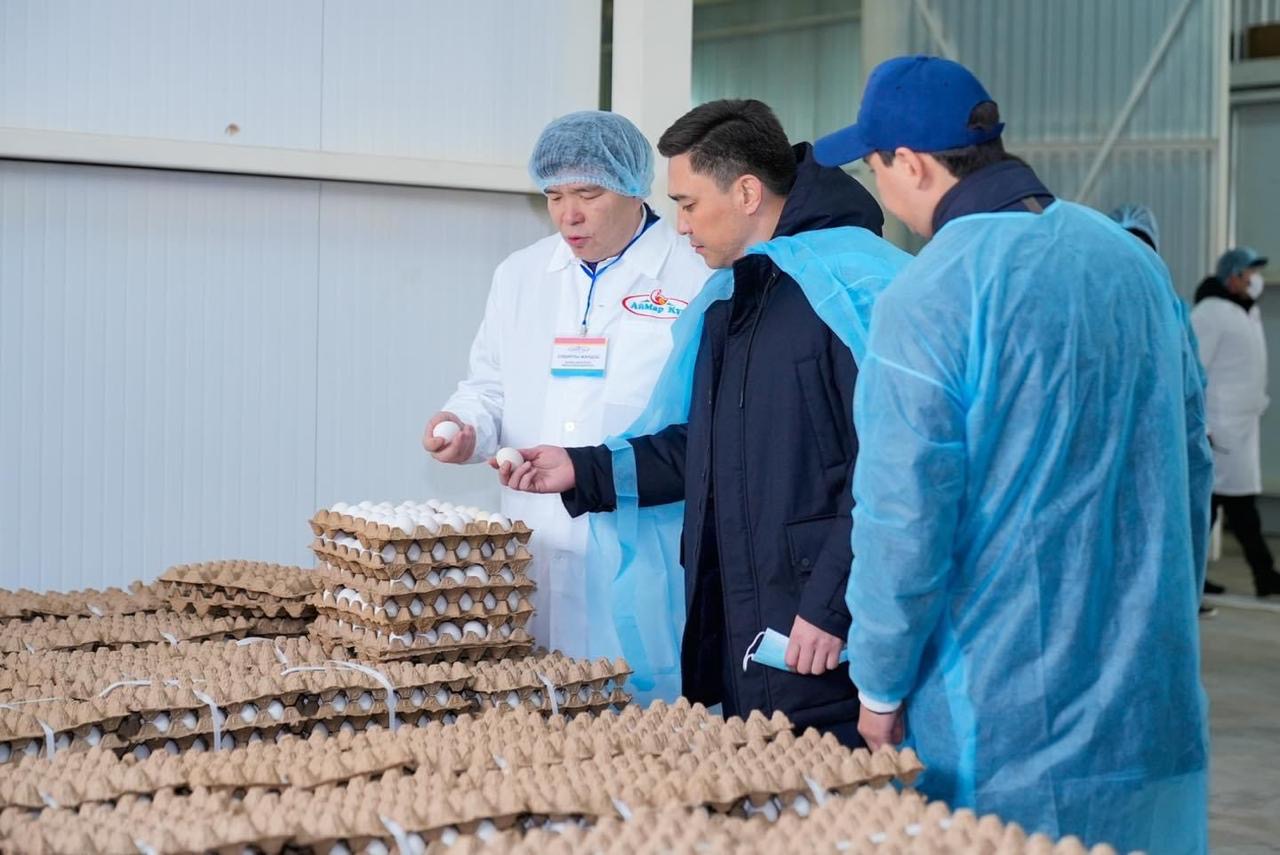 В Шымкенте запущено новая птицефабрика, мощностью 72 млн яиц в год