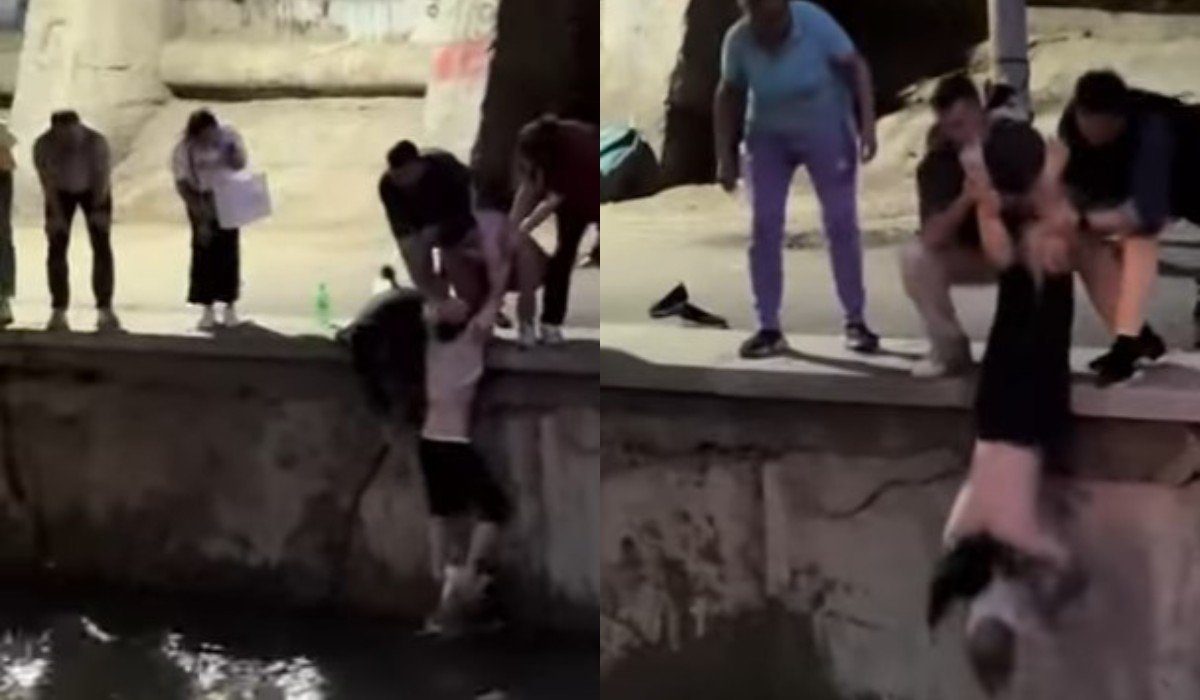 В Алматы прохожие спасли тонущую в реке собаку