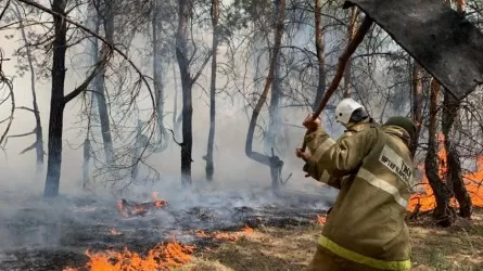 Жаркое лето ждет казахстанцев: генпрокурор дал поручение