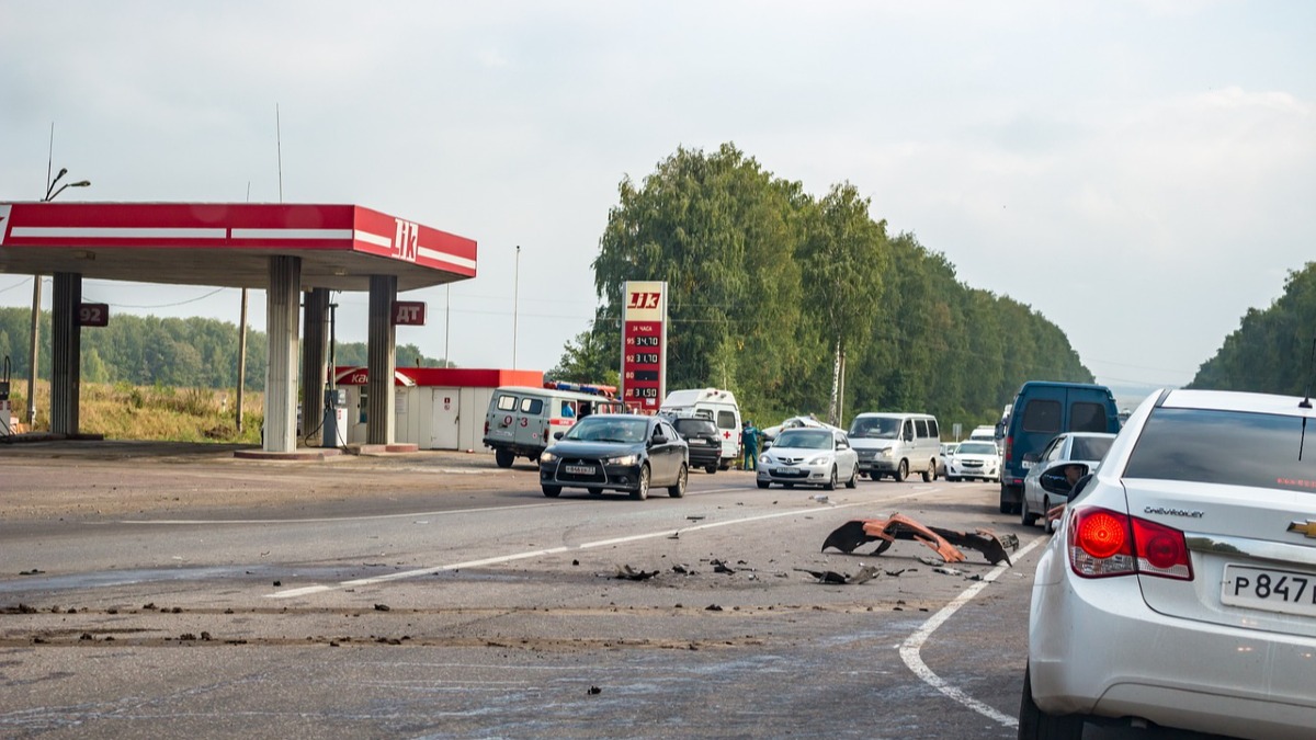 По дороге из Павлодара водитель сбил двух лошадей