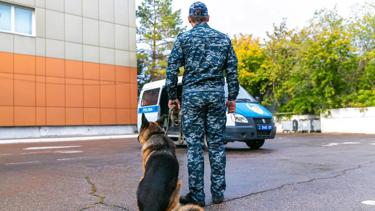 19 жерінен пышақ салған: Түркістанда қылмыскер іздестіріліп жатыр