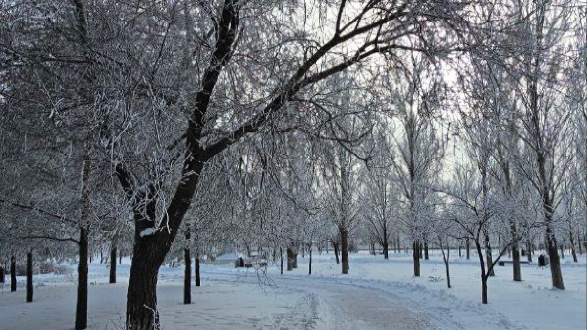 Синоптики предупредили жителей 4 городов Казахстана 